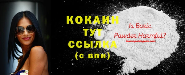 бошки Алзамай