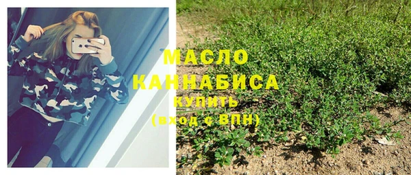 молекула духа Заводоуковск
