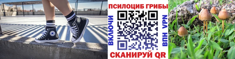 Галлюциногенные грибы Psilocybine cubensis  Любань 